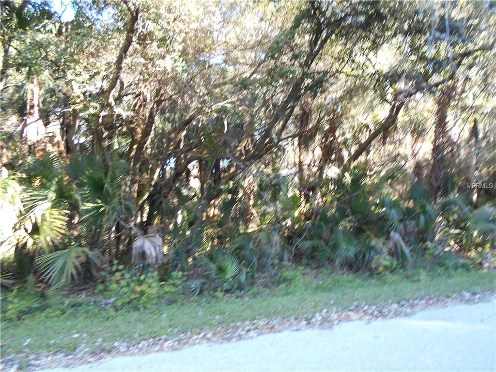 13382 LEATHERBURY AVENUE PORT CHARLOTTE, Florida 33953, ,Vacant land,For sale,LEATHERBURY,C7232776