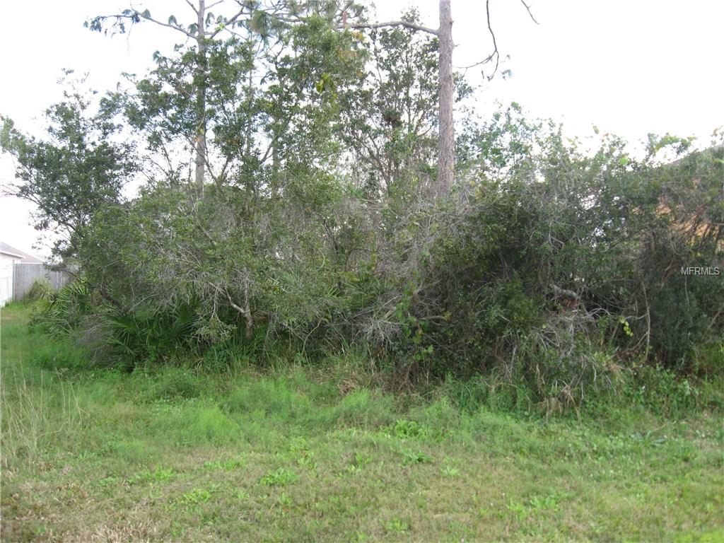 0000 BROCKTON DRIVE, KISSIMMEE, Florida 34758, ,Vacant land,For sale,BROCKTON,S4857015