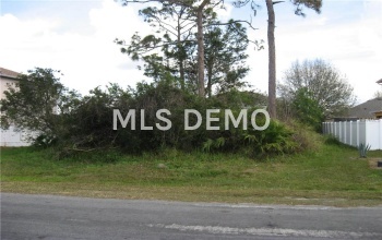 0000 BROCKTON DRIVE, KISSIMMEE, Florida 34758, ,Vacant land,For sale,BROCKTON,S4857015