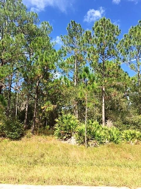 1243 RAMBLER TERRACE, PORT CHARLOTTE, Florida 33953, ,Vacant land,For sale,RAMBLER,C7245621