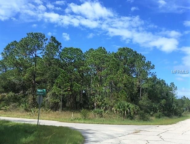 1243 RAMBLER TERRACE, PORT CHARLOTTE, Florida 33953, ,Vacant land,For sale,RAMBLER,C7245621