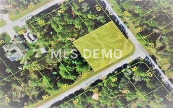 1243 RAMBLER TERRACE, PORT CHARLOTTE, Florida 33953, ,Vacant land,For sale,RAMBLER,C7245621