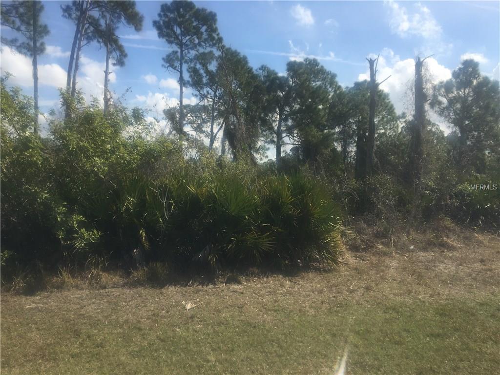 1228 MARACAIBO STREET, PORT CHARLOTTE, Florida 33980, ,Vacant land,For sale,MARACAIBO,A4209903