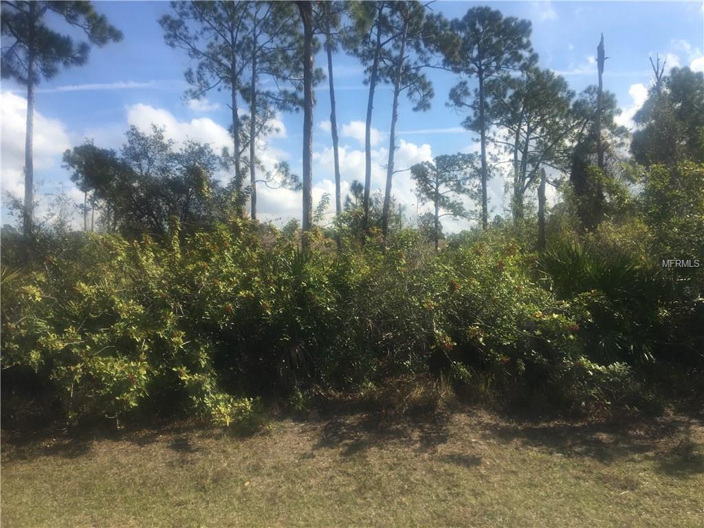 1228 MARACAIBO STREET, PORT CHARLOTTE, Florida 33980, ,Vacant land,For sale,MARACAIBO,A4209903