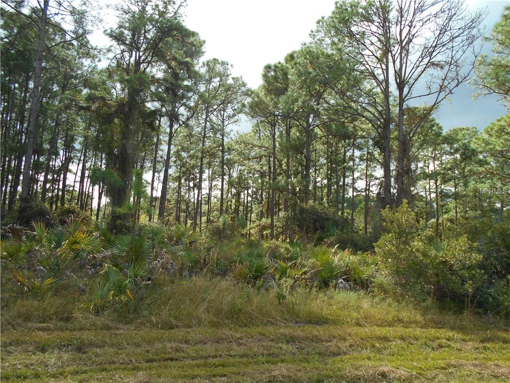 12565 COLBY AVENUE, PORT CHARLOTTE, Florida 33953, ,Vacant land,For sale,COLBY,C7232819