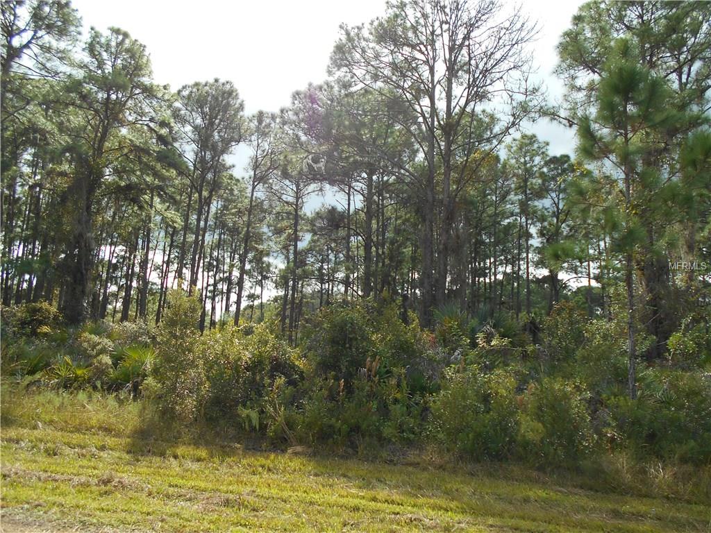 12565 COLBY AVENUE, PORT CHARLOTTE, Florida 33953, ,Vacant land,For sale,COLBY,C7232819