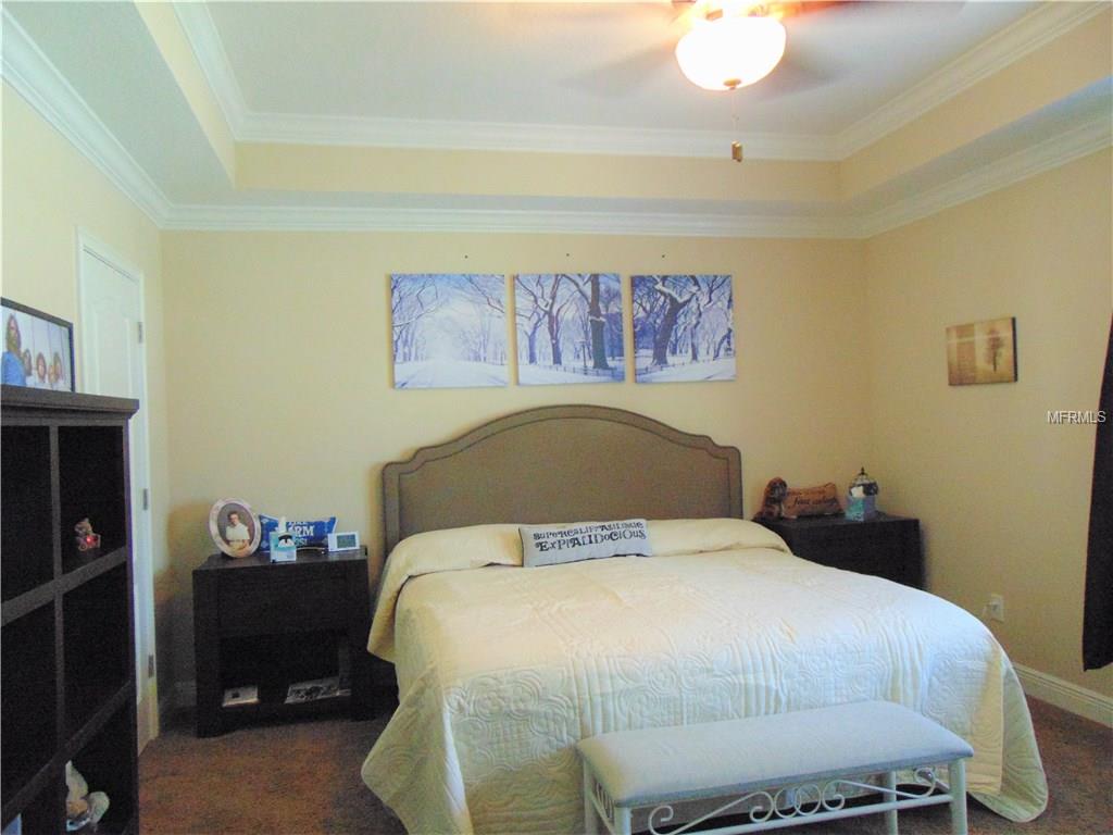 8623 VIA TRIESTE DRIVE, WINDERMERE, Florida 34786, 5 Bedrooms Bedrooms, 7 Rooms Rooms,4 BathroomsBathrooms,Residential,For sale,VIA TRIESTE,O5554006