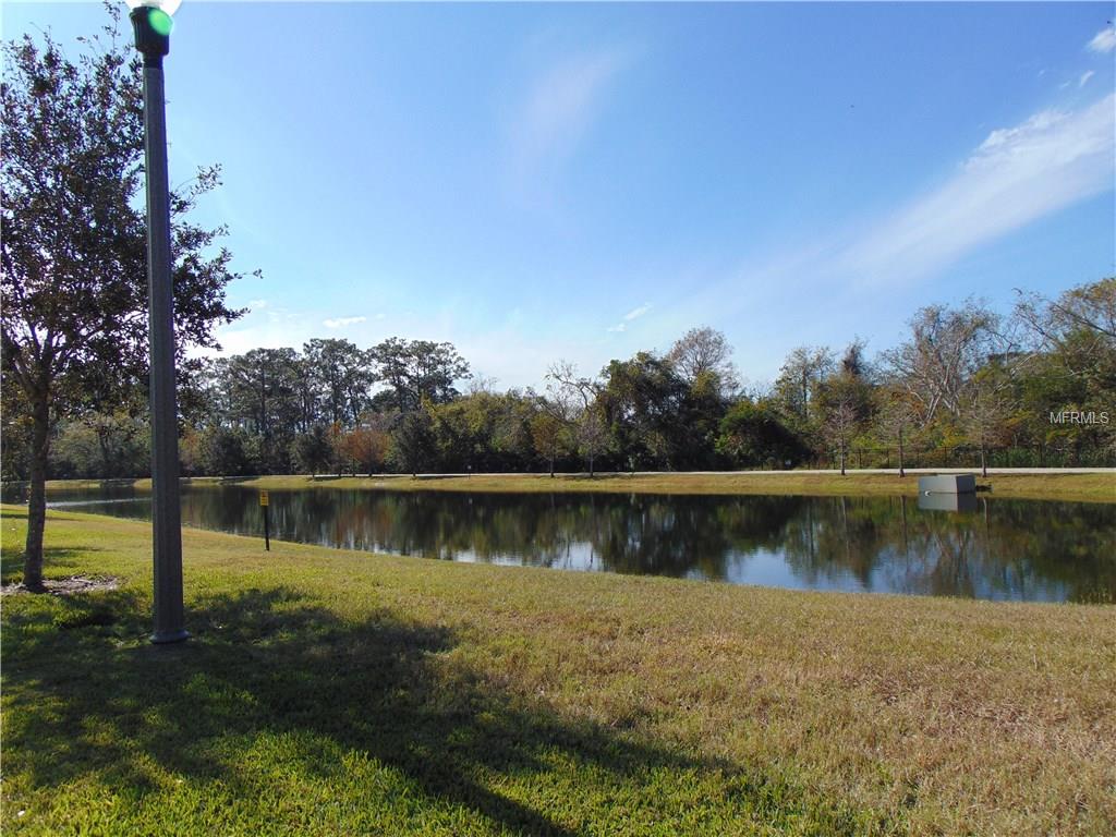 8623 VIA TRIESTE DRIVE, WINDERMERE, Florida 34786, 5 Bedrooms Bedrooms, 7 Rooms Rooms,4 BathroomsBathrooms,Residential,For sale,VIA TRIESTE,O5554006