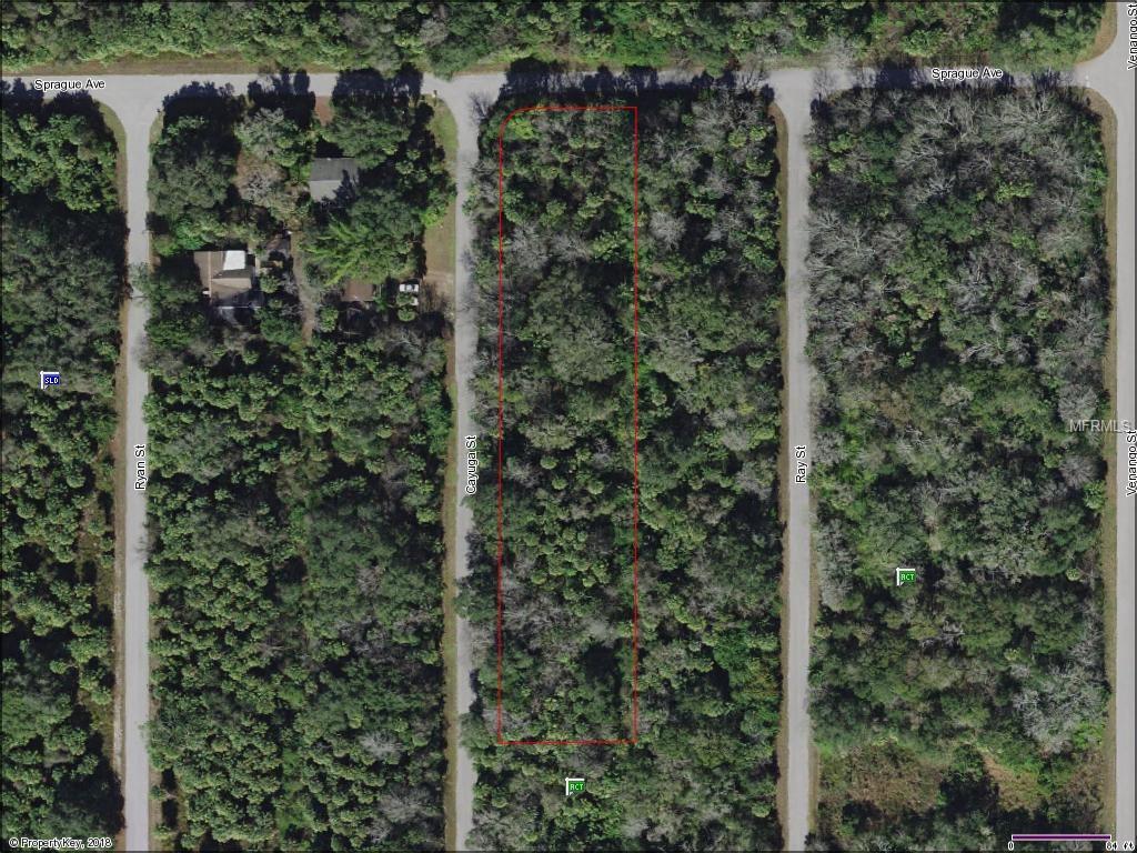 160 CAYUGA STREET, PORT CHARLOTTE, Florida 33954, ,Vacant land,For sale,CAYUGA,A4209907