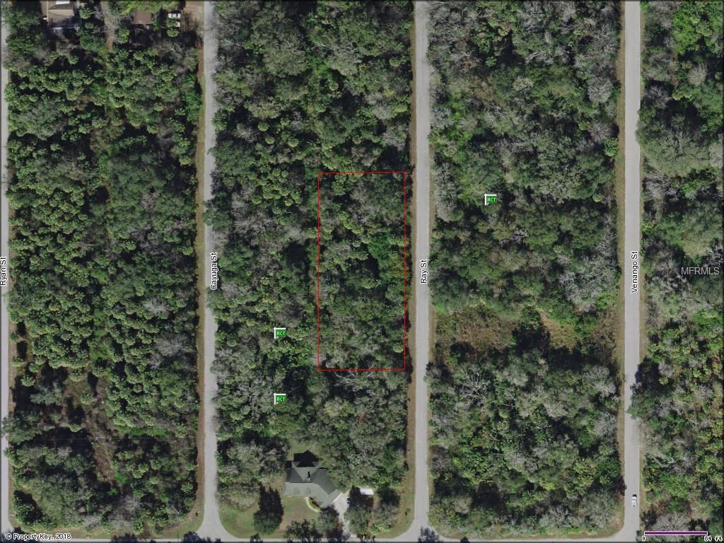 160 CAYUGA STREET, PORT CHARLOTTE, Florida 33954, ,Vacant land,For sale,CAYUGA,A4209907