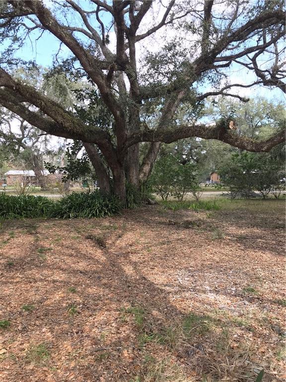 10806 E IRENE STREET, INVERNESS, Florida 34450, 3 Bedrooms Bedrooms, 7 Rooms Rooms,2 BathroomsBathrooms,Residential,For sale,IRENE,T2927117