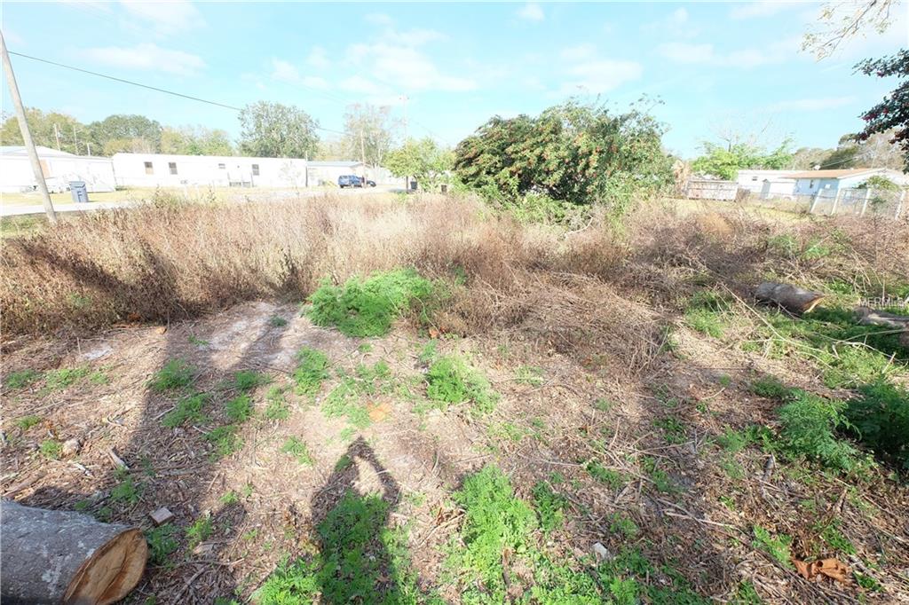 208 MAPLE STREET, WINTER HAVEN, Florida 33880, ,Vacant land,For sale,MAPLE,L4725520