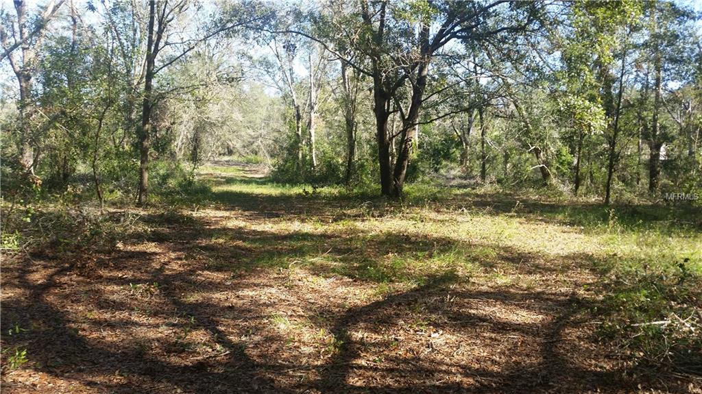 2412 WALLACE ROAD, LUTZ, Florida 33549, ,Vacant land,For sale,WALLACE,H2204300