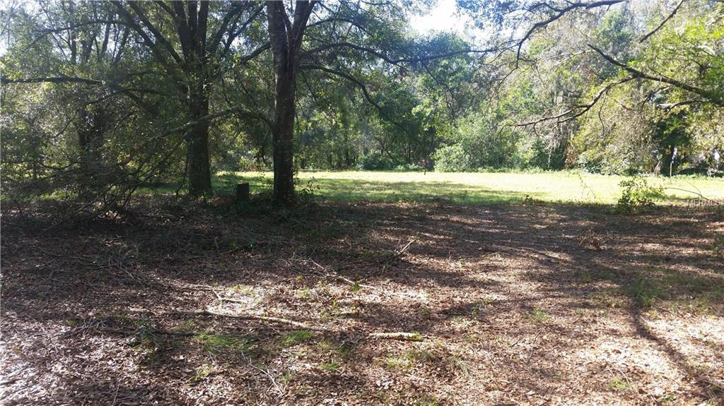 2412 WALLACE ROAD, LUTZ, Florida 33549, ,Vacant land,For sale,WALLACE,H2204300