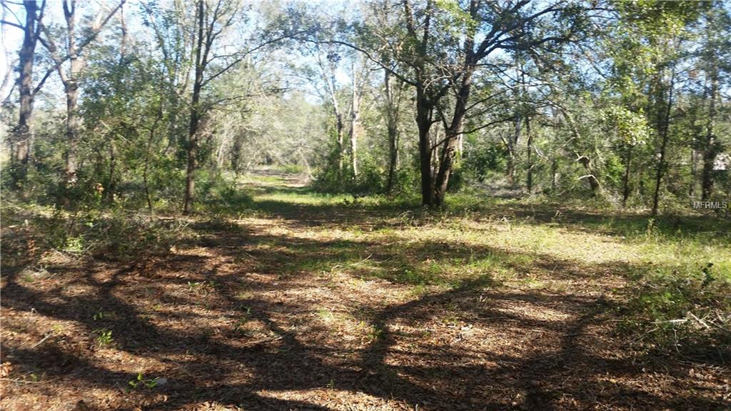 2412 WALLACE ROAD, LUTZ, Florida 33549, ,Vacant land,For sale,WALLACE,H2204300