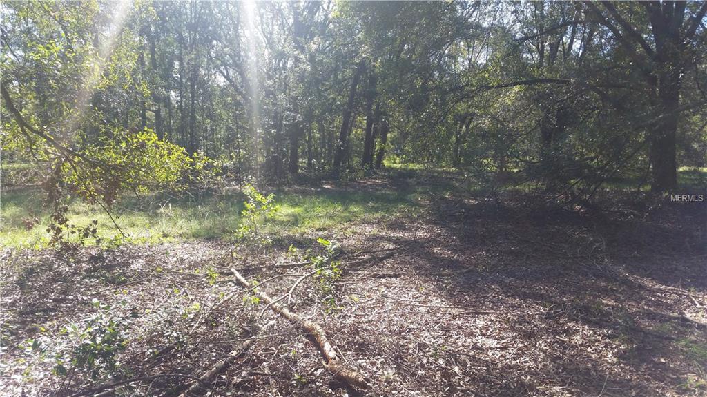 2412 WALLACE ROAD, LUTZ, Florida 33549, ,Vacant land,For sale,WALLACE,H2204300