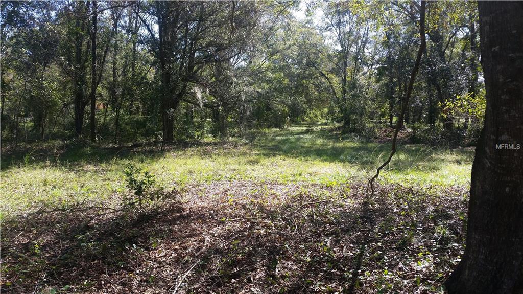 2412 WALLACE ROAD, LUTZ, Florida 33549, ,Vacant land,For sale,WALLACE,H2204300