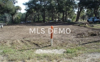 4621 MOORES LAKE ROAD, DOVER, Florida 33527, ,Vacant land,For sale,MOORES LAKE,T2915593