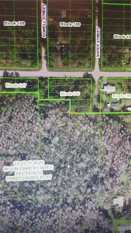 10608 POWELL STREET, NEW PORT RICHEY, Florida 34654, ,Vacant land,For sale,POWELL,U7839768