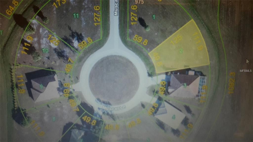 17400 MUSCAT LANE, PUNTA GORDA, Florida 33955, ,Vacant land,For sale,MUSCAT,C7246158