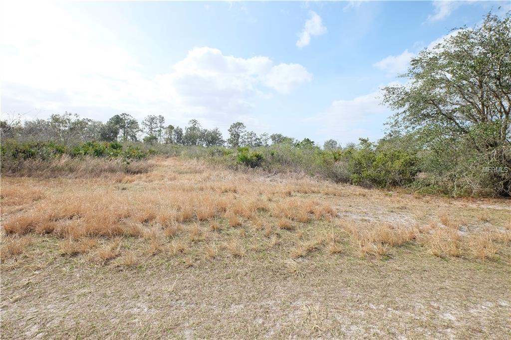 1646 S JURGENSON ROAD, AVON PARK, Florida 33825, ,Vacant land,For sale,JURGENSON,L4725524