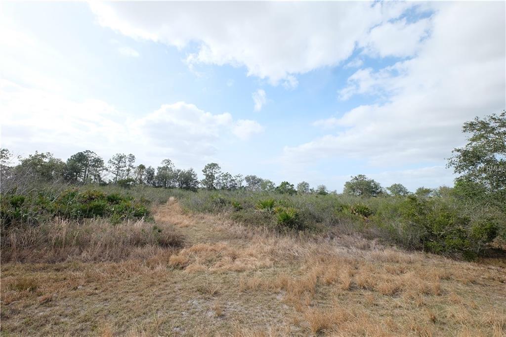 1646 S JURGENSON ROAD, AVON PARK, Florida 33825, ,Vacant land,For sale,JURGENSON,L4725524