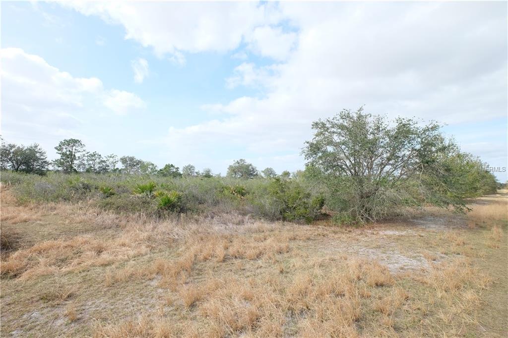 1646 S JURGENSON ROAD, AVON PARK, Florida 33825, ,Vacant land,For sale,JURGENSON,L4725524