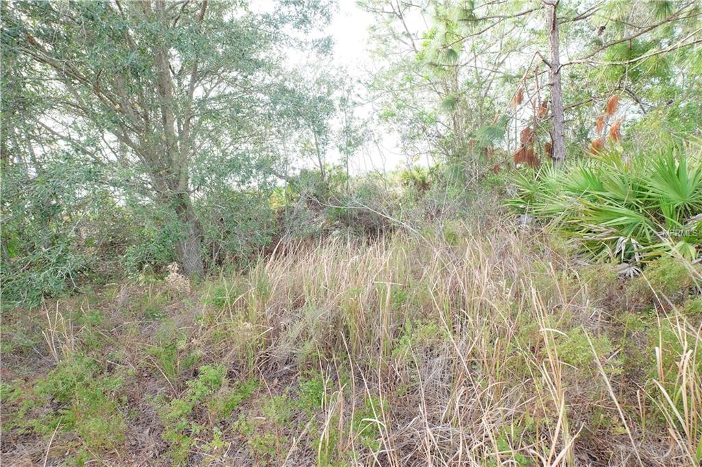 1646 S JURGENSON ROAD, AVON PARK, Florida 33825, ,Vacant land,For sale,JURGENSON,L4725524