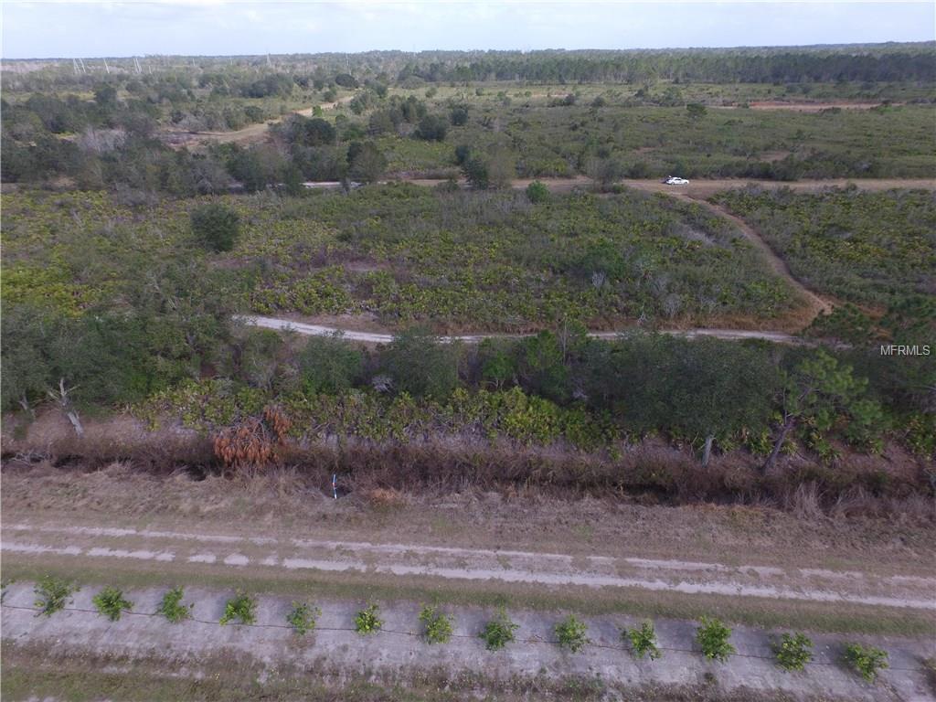 1646 S JURGENSON ROAD, AVON PARK, Florida 33825, ,Vacant land,For sale,JURGENSON,L4725524