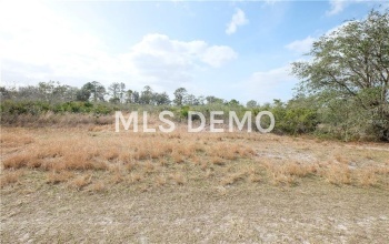 1646 S JURGENSON ROAD, AVON PARK, Florida 33825, ,Vacant land,For sale,JURGENSON,L4725524