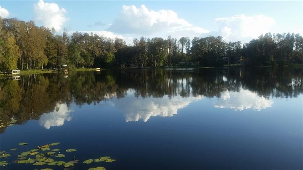 0 LITTLE ROAD, LUTZ, Florida 33548, ,Vacant land,For sale,LITTLE ROAD,T2916465