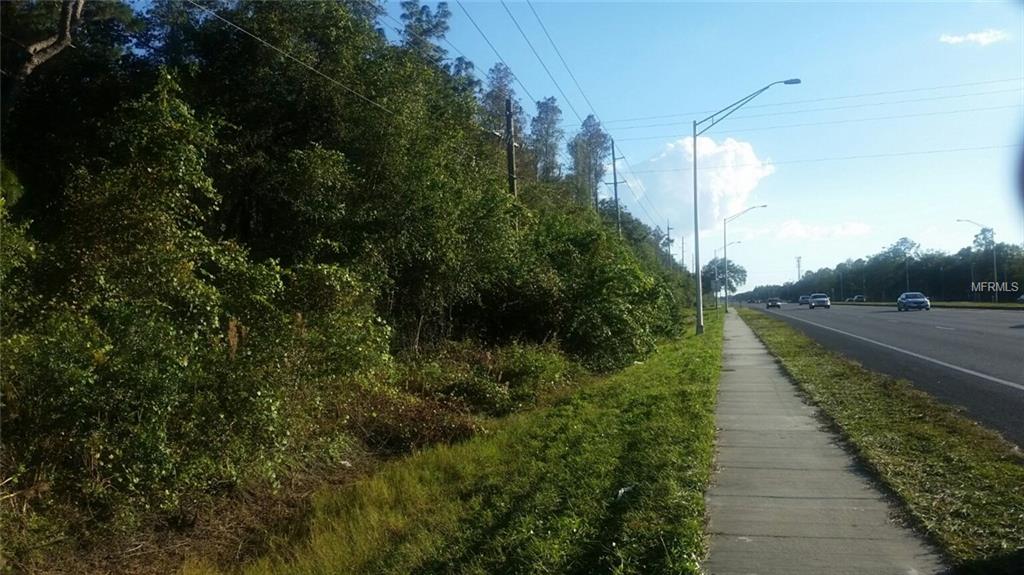 0 LITTLE ROAD, LUTZ, Florida 33548, ,Vacant land,For sale,LITTLE ROAD,T2916465