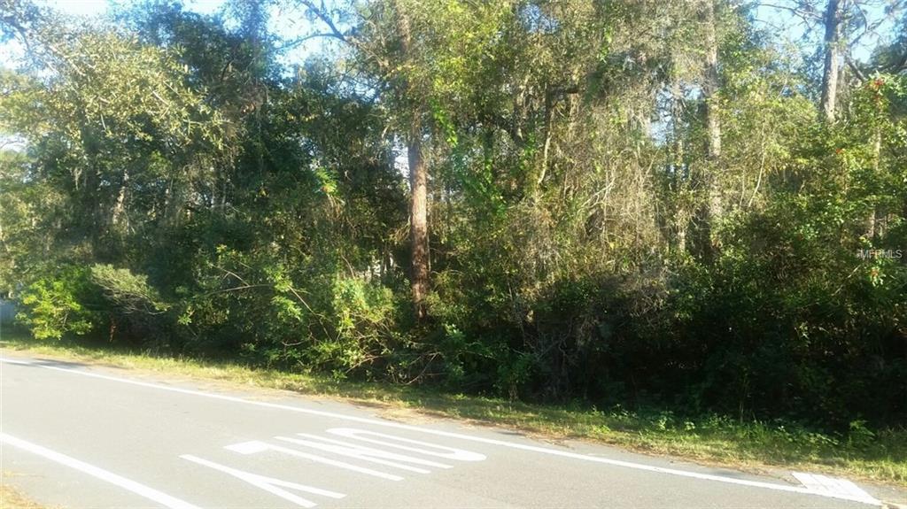 0 LITTLE ROAD, LUTZ, Florida 33548, ,Vacant land,For sale,LITTLE ROAD,T2916465