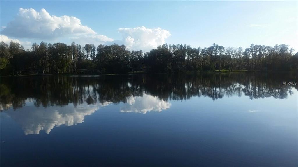 0 LITTLE ROAD, LUTZ, Florida 33548, ,Vacant land,For sale,LITTLE ROAD,T2916465