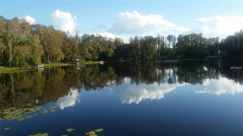 0 LITTLE ROAD, LUTZ, Florida 33548, ,Vacant land,For sale,LITTLE ROAD,T2916465