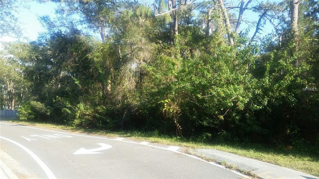 0 LITTLE ROAD, LUTZ, Florida 33548, ,Vacant land,For sale,LITTLE ROAD,T2916465