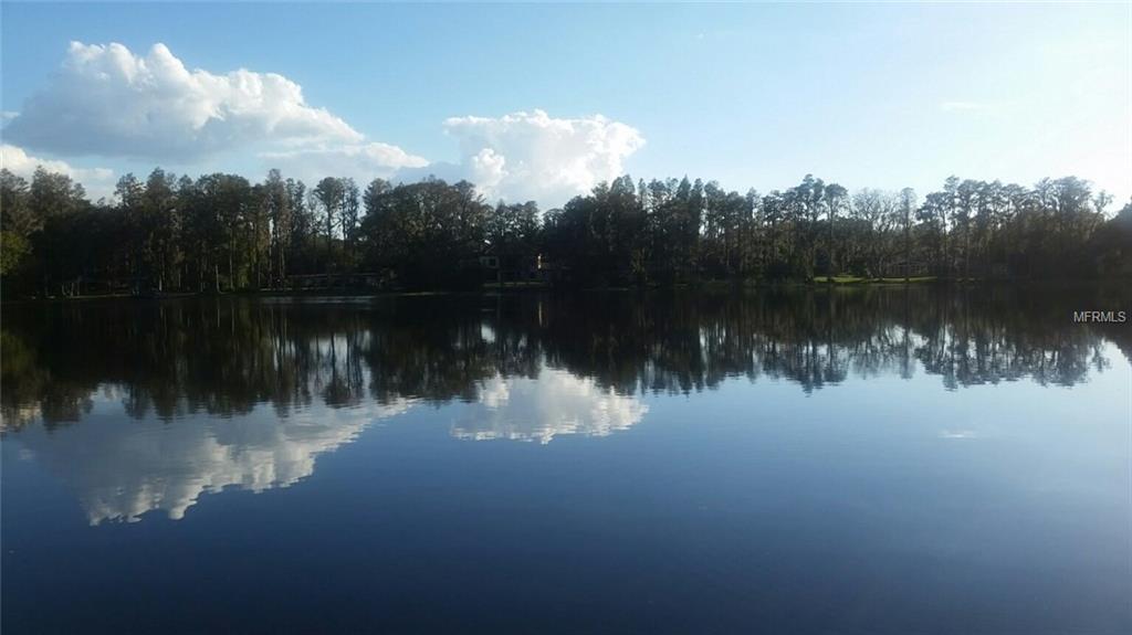 0 LITTLE ROAD, LUTZ, Florida 33548, ,Vacant land,For sale,LITTLE ROAD,T2916465