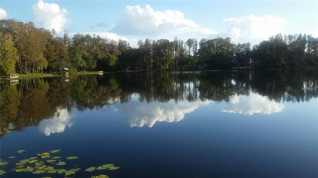 0 LITTLE ROAD, LUTZ, Florida 33548, ,Vacant land,For sale,LITTLE ROAD,T2916465