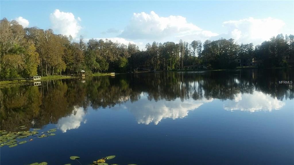 0 LITTLE ROAD, LUTZ, Florida 33548, ,Vacant land,For sale,LITTLE ROAD,T2916465