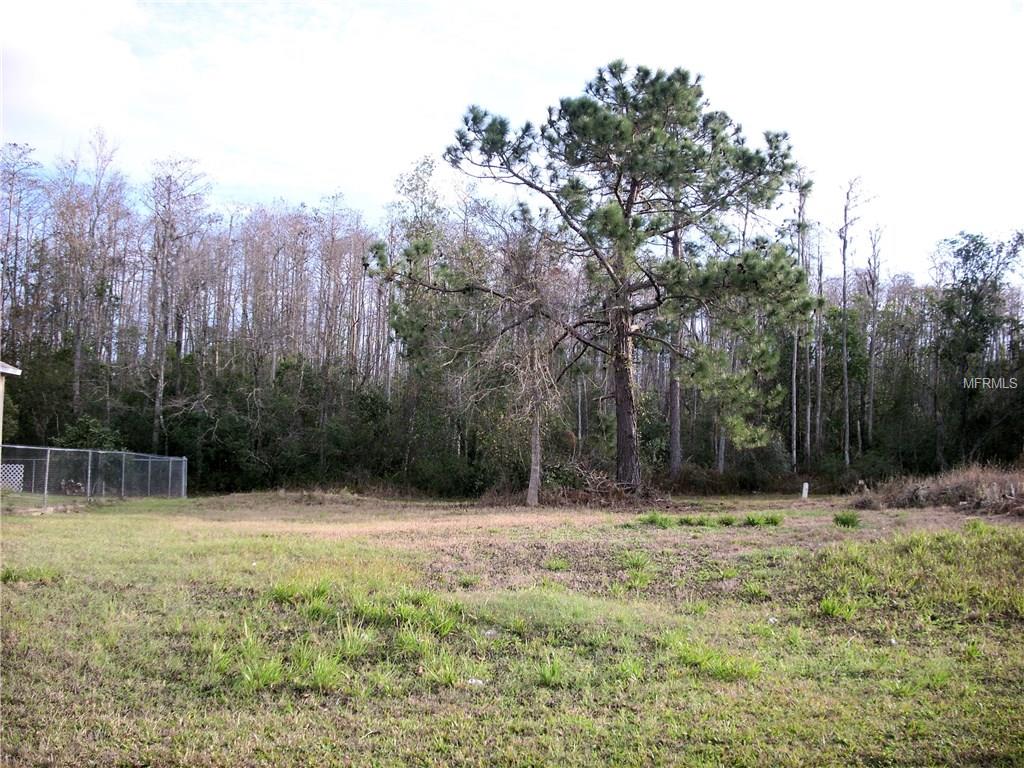 548 MARICOPA DRIVE, KISSIMMEE, Florida 34758, ,Vacant land,For sale,MARICOPA,S4857033