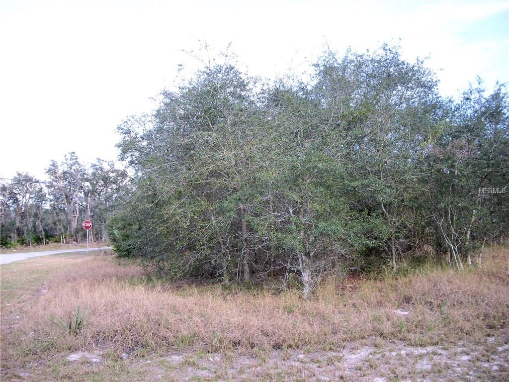 443 CHURCHILL COURT, POINCIANA, Florida 34759, ,Vacant land,For sale,CHURCHILL,S4857034