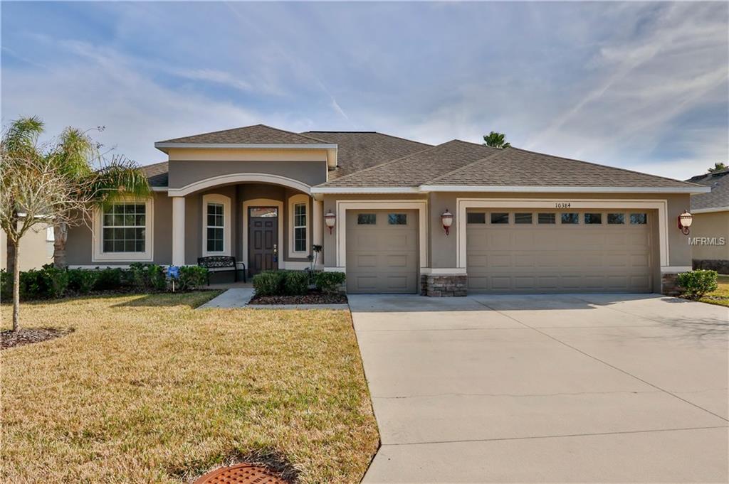 10384 BELMULLET DRIVE, SAN ANTONIO, Florida 33576, 3 Bedrooms Bedrooms, 11 Rooms Rooms,2 BathroomsBathrooms,Residential,For sale,BELMULLET,T2912493