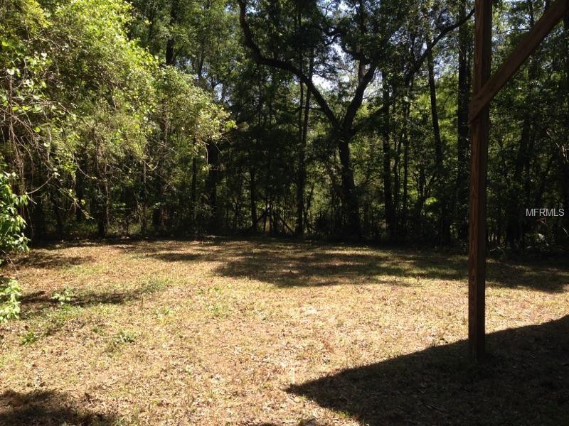 300 NW WHITEWATER TRAIL S, MAYO, Florida 32066, ,Vacant land,For sale,WHITEWATER,T2916781