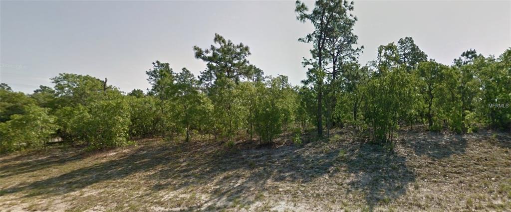 2567 W WILMINGTON CIRCLE, CITRUS SPRINGS, Florida 34434, ,Vacant land,For sale,WILMINGTON,C7234866