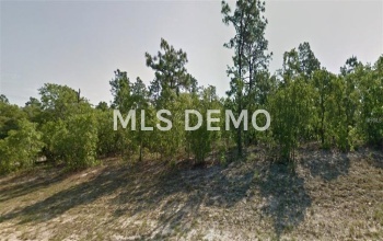 2567 W WILMINGTON CIRCLE, CITRUS SPRINGS, Florida 34434, ,Vacant land,For sale,WILMINGTON,C7234866