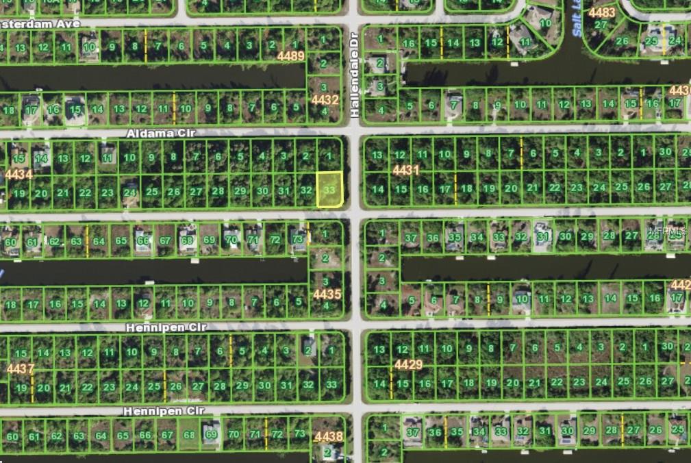 10133 HALLENDALE DRIVE, PORT CHARLOTTE, Florida 33981, ,Vacant land,For sale,HALLENDALE,D5922996