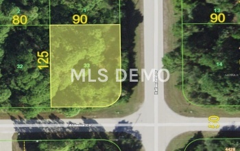 10133 HALLENDALE DRIVE, PORT CHARLOTTE, Florida 33981, ,Vacant land,For sale,HALLENDALE,D5922996