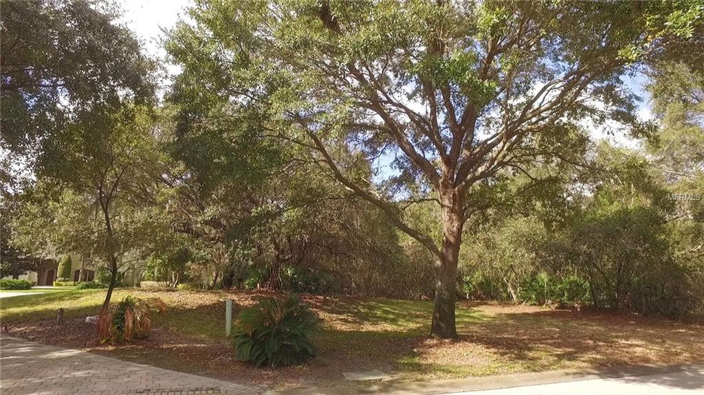 10060 TAVISTOCK ROAD, ORLANDO, Florida 32827, ,Vacant land,For sale,TAVISTOCK,O5489101