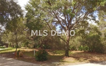 10060 TAVISTOCK ROAD, ORLANDO, Florida 32827, ,Vacant land,For sale,TAVISTOCK,O5489101