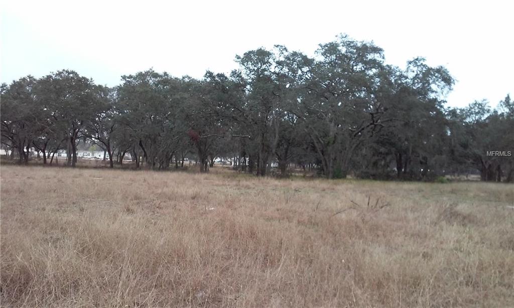 JACKSON STREET, ASTATULA, Florida 34705, ,Vacant land,For sale,JACKSON,G4852781